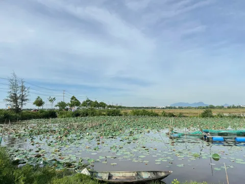 Bán Lô Đất Mặt Tiền View Sông Và View Làng Rau Trà Quế Cực Hiếm Tại Hội An - Diện Tích 100m Cực Đẹp (MS558b)